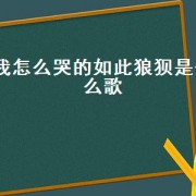 我怎么哭的如此狼狈是什么歌