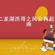 二龙湖浩哥之风云再起插曲（二龙湖浩哥之风云再起电影）