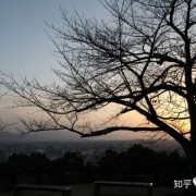 一曲《牧羊曲》：时隔30余年，依旧回味无穷