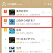  *** 《刻在我心底的名字》上线即夺酷我音乐最热歌曲榜亚军