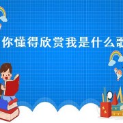  *** 欣赏我是什么歌（懂得欣赏一个人的句子）