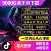 欧美经典音乐，最流行的音乐下载《AlohaHejaHe》永不言弃