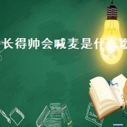 长得帅会喊麦是什么歌（长得帅 *** 什么歌）