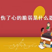 伤了心的脆弱是什么歌（伤了心才懂什么歌）