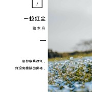 《一粒红尘》十句经典句子