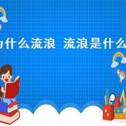 为什么流浪 流浪是什么歌