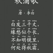 古典诗词下载（古典诗词字典下载）