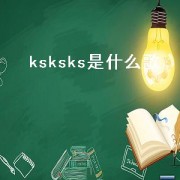 ksksks是什么歌