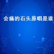 会痛的石头原唱是谁