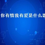 你有情我有爱是什么歌