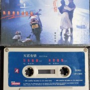 《天若有情》天亦老