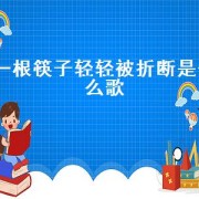 一根筷子轻轻被折断是什么歌（一根筷子轻轻被折断完整视频）