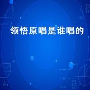 领悟原唱是谁唱的（领悟原唱是谁唱的）