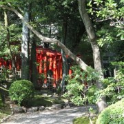 一曲《牧羊曲》：时隔30余年，依旧回味无穷