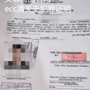 菲律宾ecc清关加急一天可以完成吗？