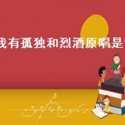 我有孤独和烈酒原唱是谁（喝下孤独的酒原唱）