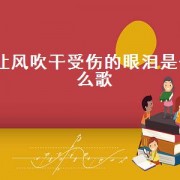 让风吹干受伤的眼泪是什么歌