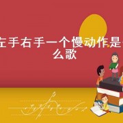 左手右手一个慢动作是什么歌（左手右手一个慢动作是什么歌名）