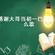 感谢大哥当初一巴掌是什么歌（感谢大哥陪伴可以唱什么歌）