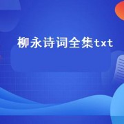 柳永诗词全集txt