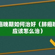 肺癌晚期如何治好（肺癌晚期应该怎么治）