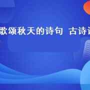 歌颂秋天的诗句 古诗词（歌颂秋天荷花的诗句古诗词）
