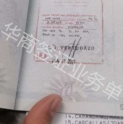 在菲律宾补办旅行证回国之后的流程有什么？