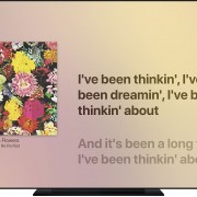 AppleMusic好用的滚动歌词背后，有一支专门转录歌词的团队