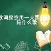 歌词愿意用一支黑色铅笔是什么歌