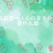 只愿得一人心白首不分离是什么歌