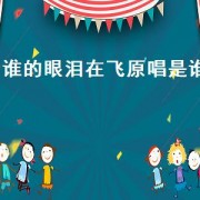 谁的眼泪在飞原唱是谁