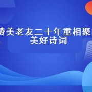 赞美老友二十年重相聚的美好诗词