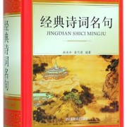 宋代诗词的历史介绍（宋代诗词的历史介绍）