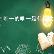 唯一的唯一是什么歌
