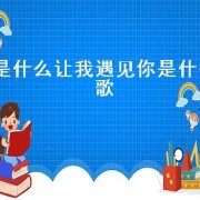 是什么让我遇见你是什么歌