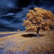 关于人生处事的诗词（为人处事谦和礼让的诗词）