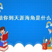 陪你到天涯海角是什么歌