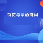 荷花与亭的诗词