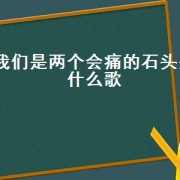 我们是两个会痛的石头是什么歌（两颗石头是什么歌）