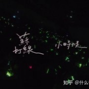 有哪些歌曲可以用来怀念逝去的亲人（父亲）？