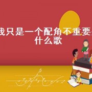 我只是一个配角不重要是什么歌（啥子都不重要是什么歌）