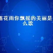 落花雨你飘摇的美丽是什么歌