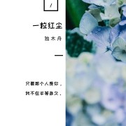 《一粒红尘》十句经典句子