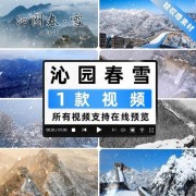 春节诗词（春节诗词歌赋大全经典）