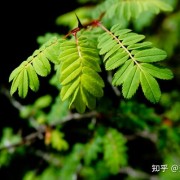 香格里拉 - 尽收人世纷扰，不染凡间一尘