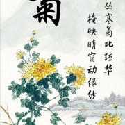 诗词佳句爱情文案