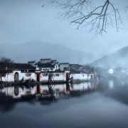 桐花 诗词（桐花诗）