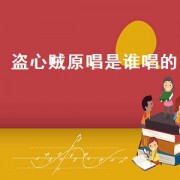 盗心贼原唱是谁唱的（盗心贼菲儿原唱完整版）