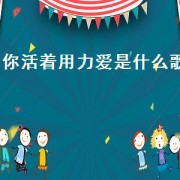 你活着用力爱是什么歌