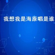 我想我是海原唱是谁（我想我是海原唱是谁）